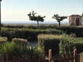 Appartement Leucate  1