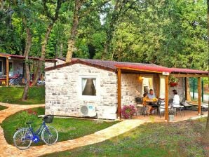 Vakantiepark Stacaravan in Aminess Maravea Camping Resort, Novigrad - Istria - Karigador - image1