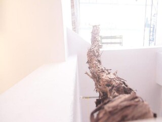 Appartement Split (Stadt) Buitenaudio-opname 2