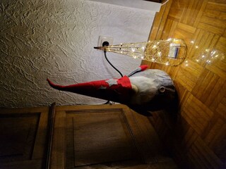 Ein kleiner Weihnachtswichtel