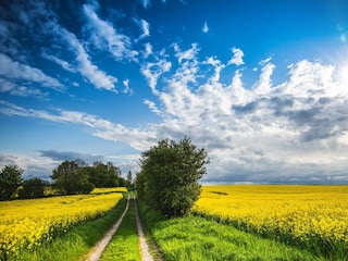 Landschaft