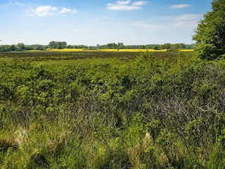 Landschaft