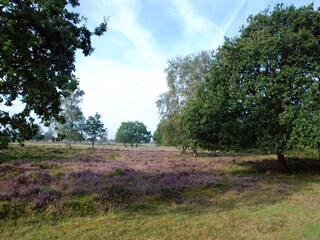 Casa per le vacanze Sahlenburg Ambiente 22