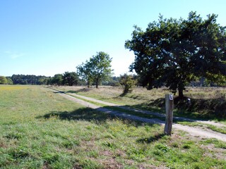 Casa per le vacanze Sahlenburg Ambiente 23