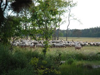 Casa per le vacanze Sahlenburg Ambiente 25