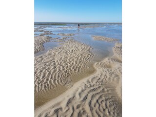 Strand Renesse