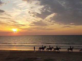 Villa Renesse Registrazione all'aperto 7