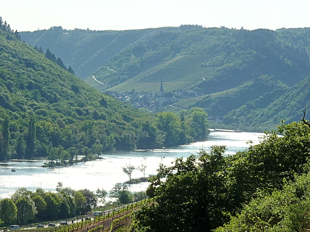 die Mosel Richtung Klotten