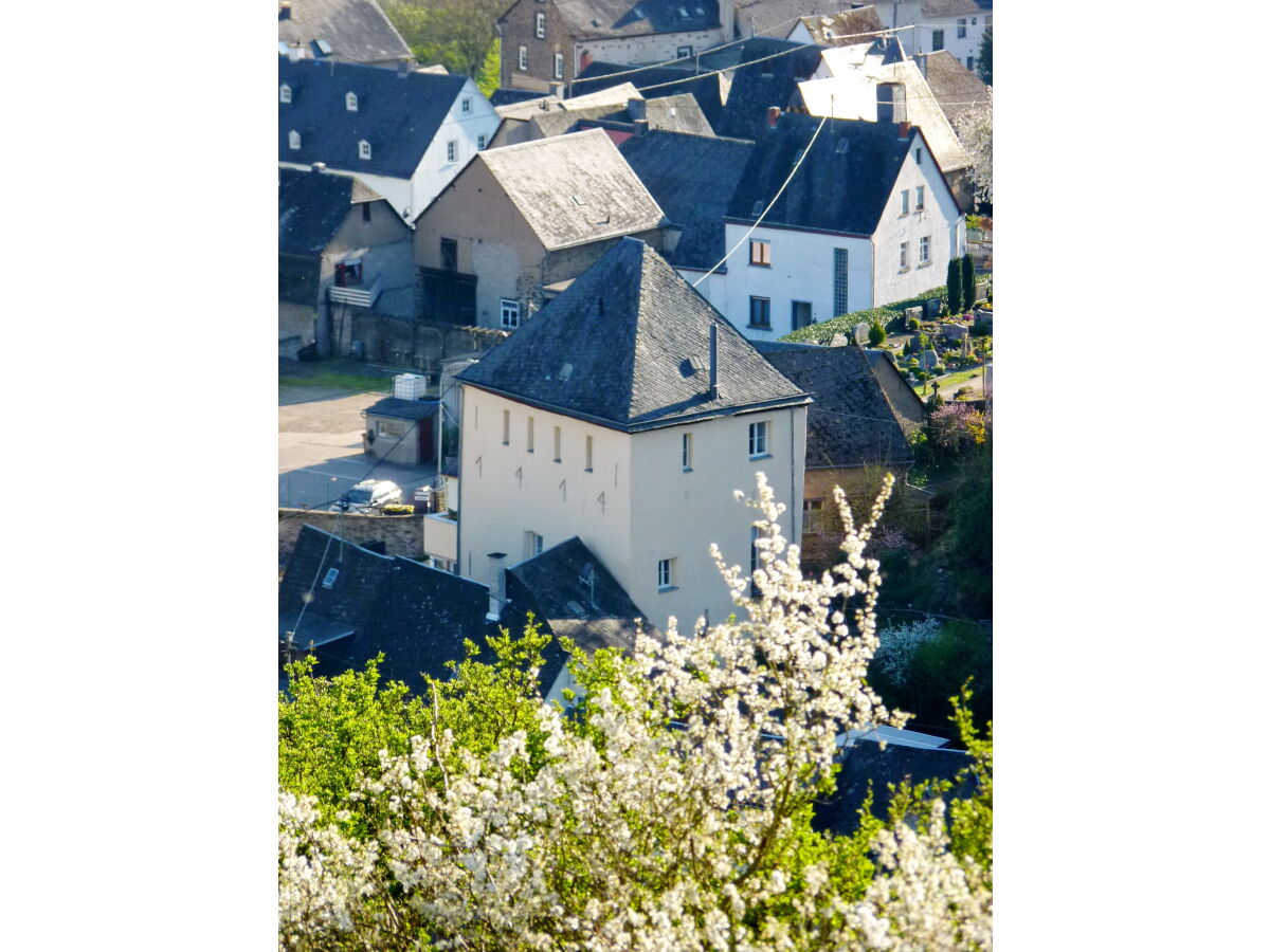 die Burg im Frühling