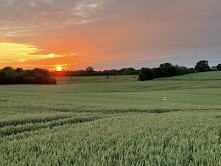 Sonnenuntergang am Baumhaus