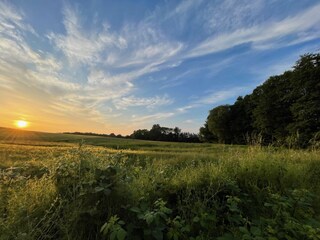Sonnenuntergang am Baumhaus