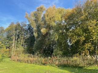 Erlebnruchwald