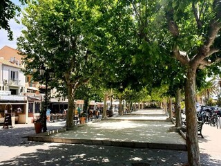 Apartamento Le Lavandou  5