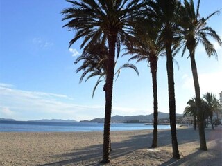Appartement Le Lavandou  10