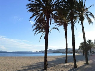 Apartment Le Lavandou  9