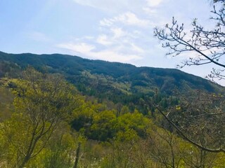 Apartment Poppi Environment 34