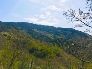 Appartement Poppi Omgeving 33