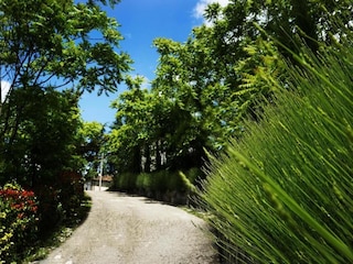 Apartment Poppi Umgebung 34