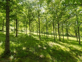 Bauernhof Poppi Umgebung 32