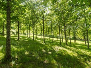 Type de propriété : Ferme Poppi Environnement 32