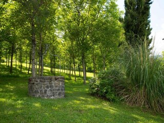 Bauernhof Poppi Umgebung 35