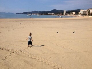 Apartment Le Lavandou  13