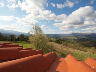 Appartement Poppi Buitenaudio-opname 11