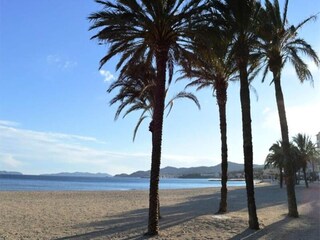 Apartment Le Lavandou  17