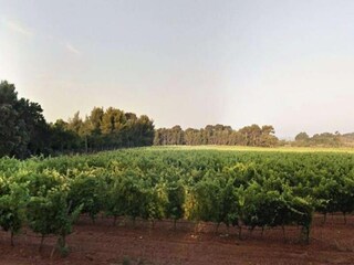 Apartamento Le Lavandou  4