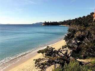 Apartment Le Rayol-Canadel  7