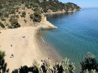 Apartment Cavalaire-sur-Mer  3