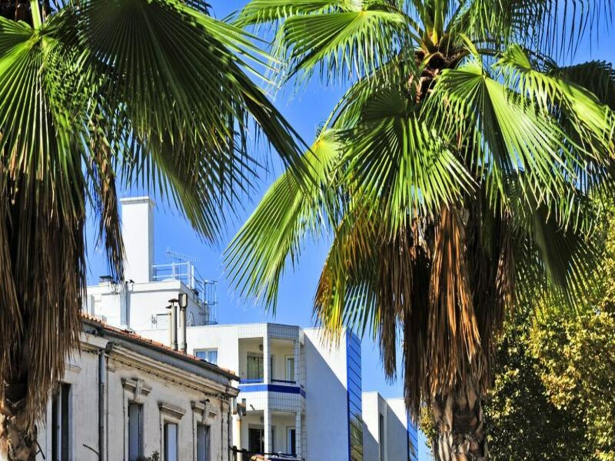 Appartement Montpellier  1