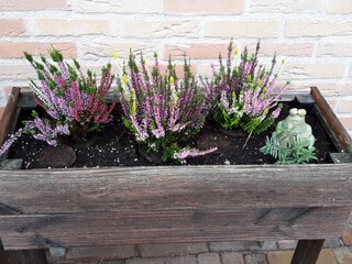 Casa per le vacanze Ouddorp Documento 25