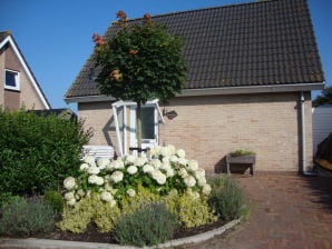 Vakantiehuis in Ouddorp - Ouddorp - image1