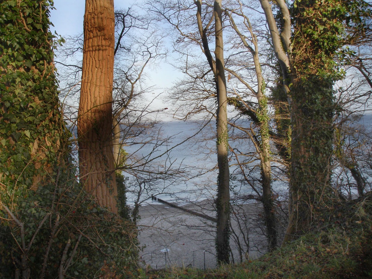 Blick zum Strand