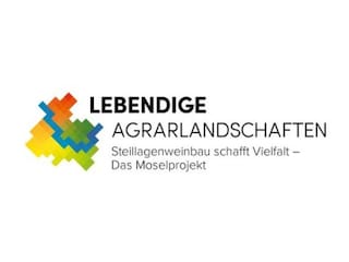 Ferienwohnung Enkirch Dokument 9