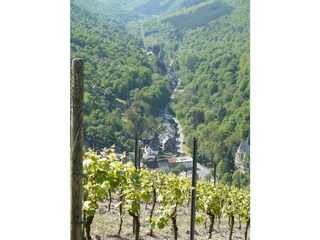 unzählige Wanderwege in den Seitentälern der Mosel