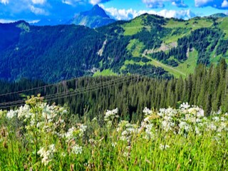 Appartement Morzine Buitenaudio-opname 24