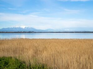 Apartment 1 Room 4 People - Canet-en-Roussillon - image1