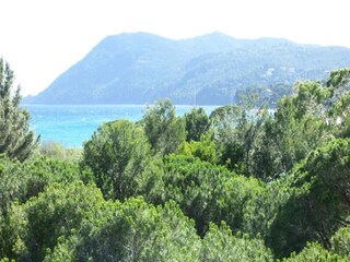 Apartment Saint-Mandrier-sur-Mer  8