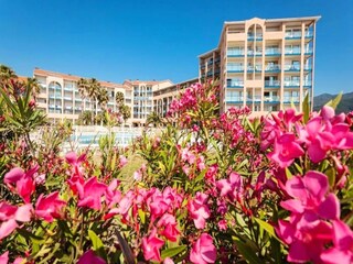 Appartement Argelès-sur-Mer Buitenaudio-opname 14