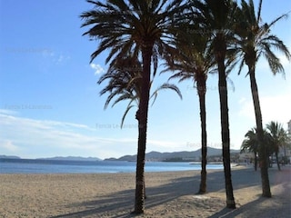 Apartment Le Lavandou  7