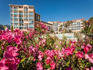 Apartamento Argelès-sur-Mer  2