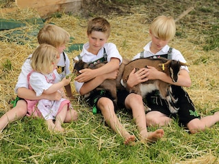 Unsere Ziegen Hanni und Schorsch