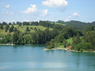 Forggensee (in wenigen Gehminuten erreichbar)