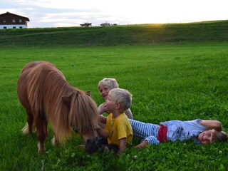Farmhouse Roßhaupten Environment 21