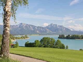 wunderschöne Landschaft