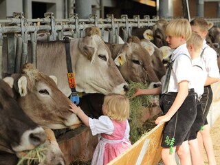 Farmhouse Roßhaupten Environment 29