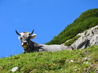 Farmhouse Roßhaupten Environment 39