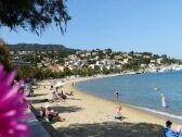 Apartment Le Lavandou  1